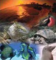 /album/fotogaleria/galapagos-41-jpg/